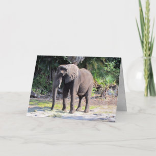Tarjeta de felicitación para elefantes
