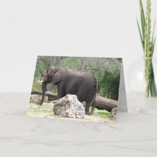 Tarjeta de felicitación para elefantes (0390)