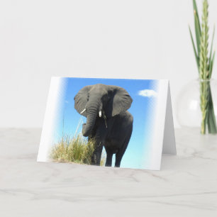 Tarjeta de felicitación para elefantes africanos