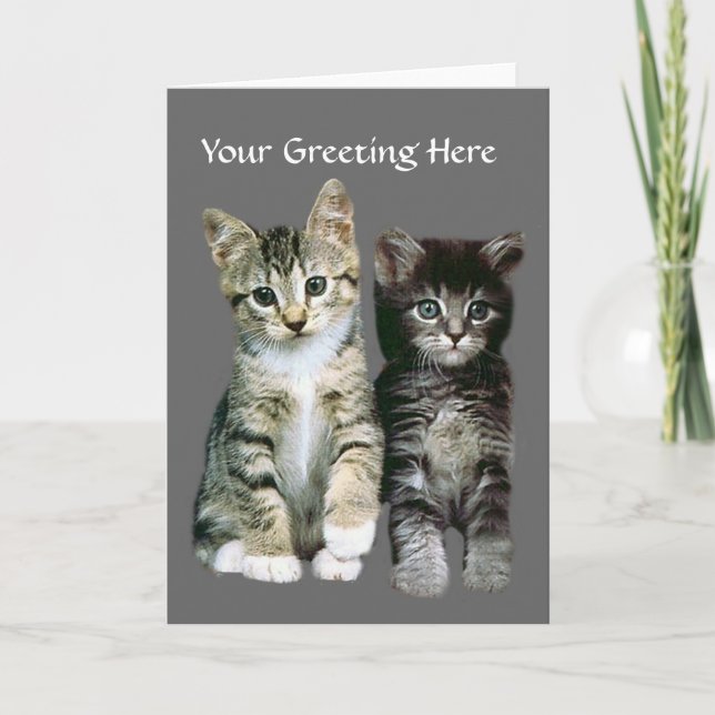 Tarjeta de felicitación para gatitos (Anverso)