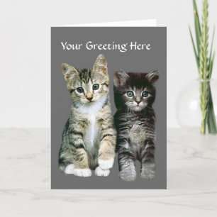 Tarjeta de felicitación para gatitos