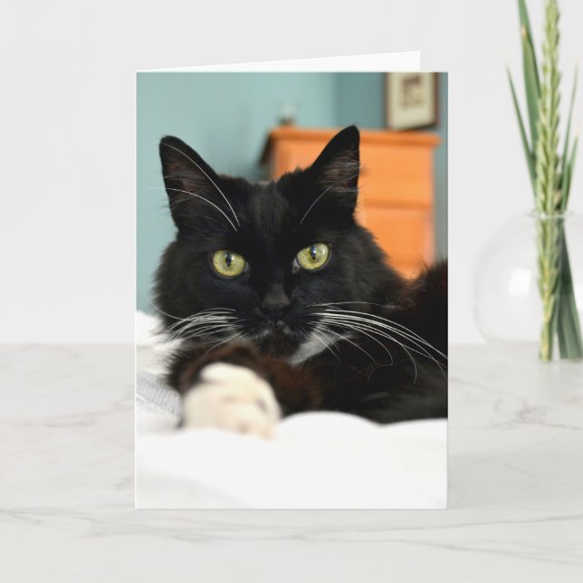 Tarjeta de felicitación para gato negro (Anverso)