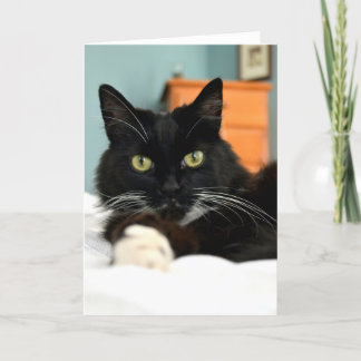 Tarjeta de felicitación para gato negro