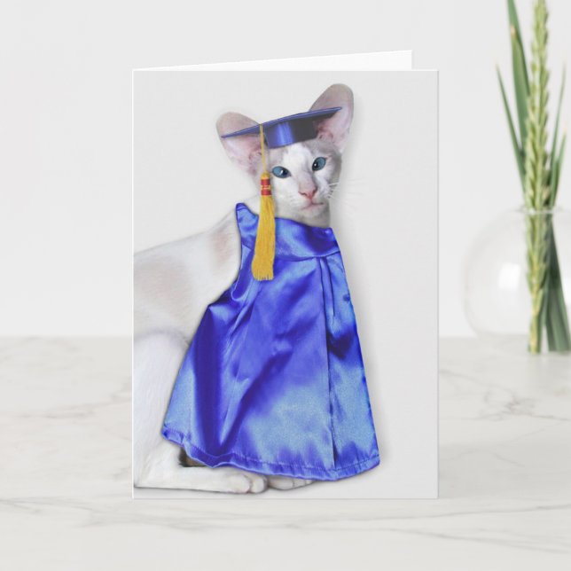 Tarjeta de felicitación para gatos de graduación (Anverso)