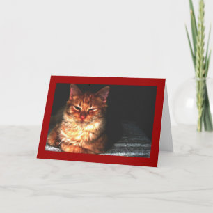 Tarjeta de felicitación para gatos en blanco...