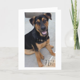 Tarjeta de felicitación para los amantes animales