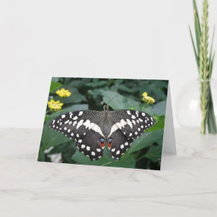 Tarjeta de felicitación para mariposa