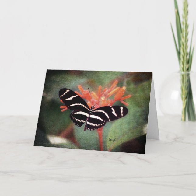 Tarjeta de felicitación para mariposa (Anverso)