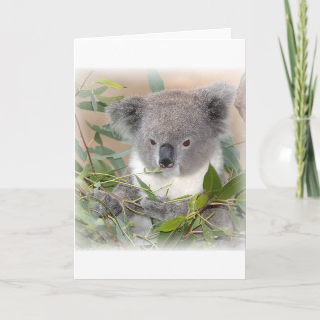 Tarjeta de felicitación para oso Koala (Anverso)