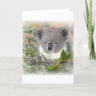 Tarjeta de felicitación para oso Koala