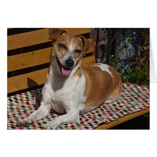 Tarjeta de felicitación para perros relajantes (Anverso (Horizontal))