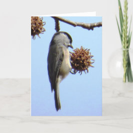 Tarjeta de felicitación para pollo