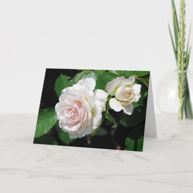 Tarjeta de felicitación para rosas (Anverso)