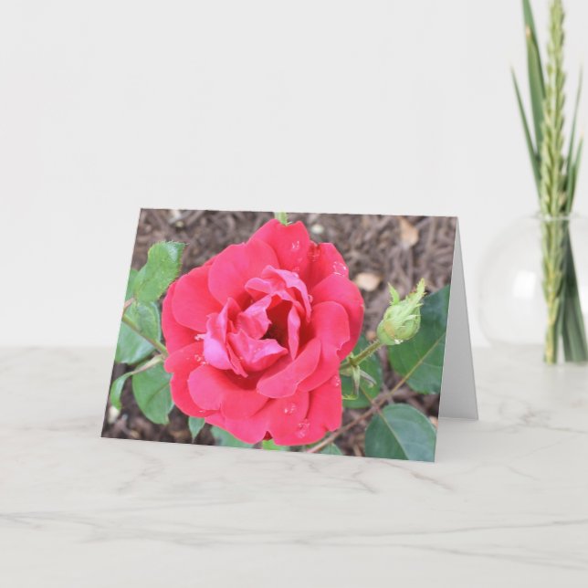 Tarjeta de felicitación para rosas (Anverso)