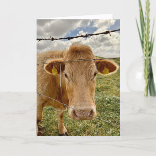 Tarjeta de felicitación para ti de vaca