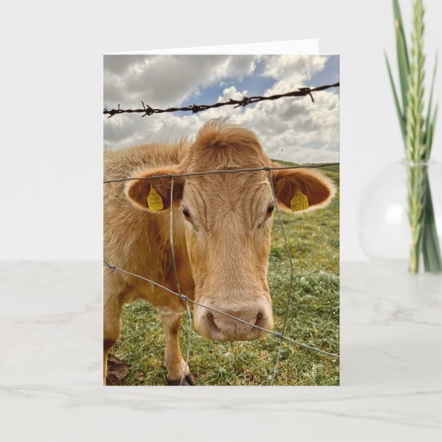 Tarjeta de felicitación para ti de vaca (Anverso)