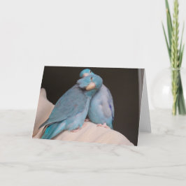 Tarjeta de felicitación Parrotlet Pals Pacific Blu