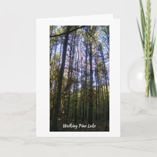 Tarjeta de felicitación - Paseo de verano por el l (Anverso)