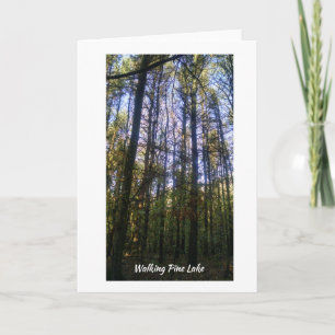 Tarjeta de felicitación - Paseo de verano por el l