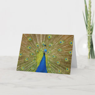 Tarjeta de felicitación Peacock