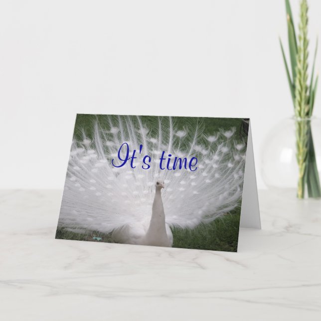 Tarjeta de felicitación Peacock para el cumpleaños (Anverso)