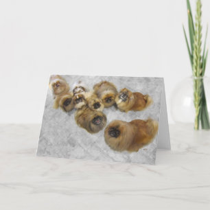 Tarjeta de felicitación pekingesa