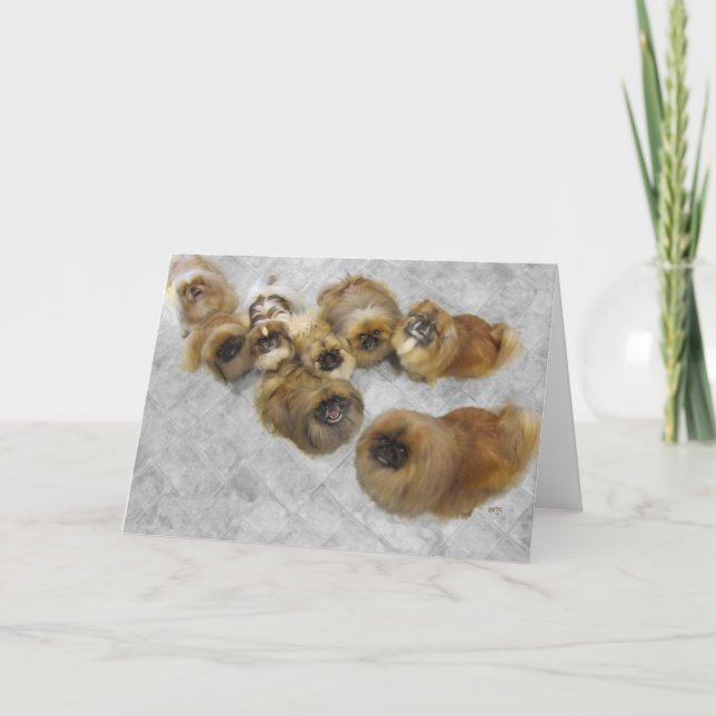 Tarjeta de felicitación pekingesa (Anverso)