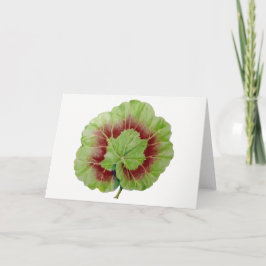 Tarjeta de felicitación Pelargonium 'Geranium Leaf
