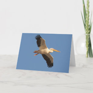 Tarjeta de felicitación Pelican Blanca