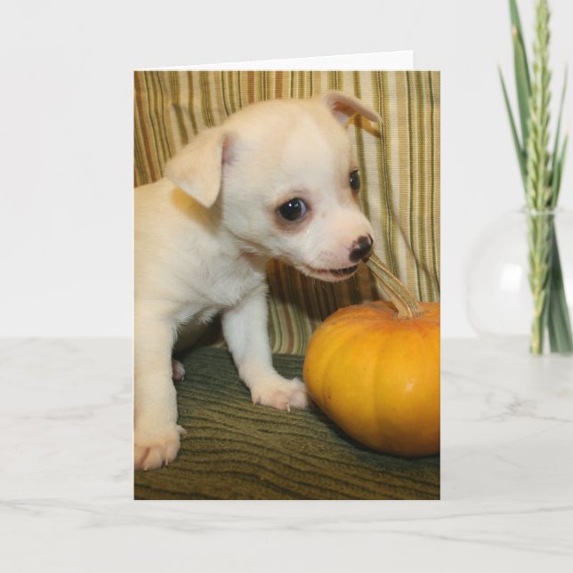 Tarjeta de felicitación penetrante de la calabaza (Anverso)