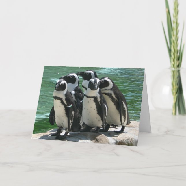 Tarjeta de felicitación Penguins (Anverso)