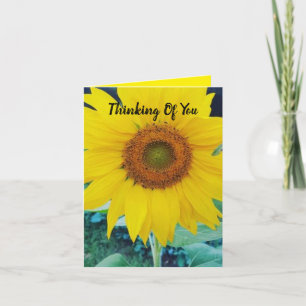 Tarjeta de felicitación pequeña doblada de 4" x 5,