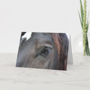 Tarjeta de felicitación Percheron Horse