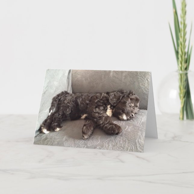 Tarjeta de felicitación - perrito de Cockapoo (Anverso)