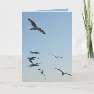 Tarjeta de felicitación personalizable de gaviotas