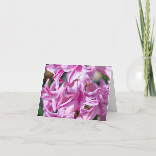 Tarjeta de felicitación personalizable de jacinto  (Anverso)