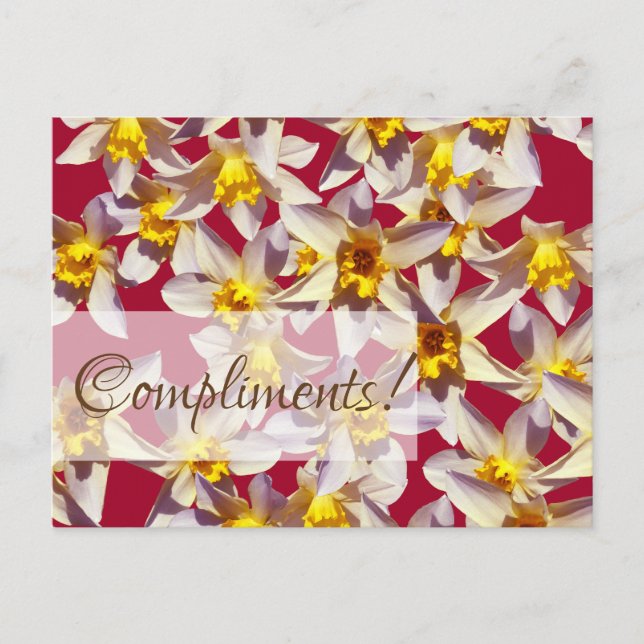 Tarjeta de felicitación personalizada de narcisos  (Anverso)