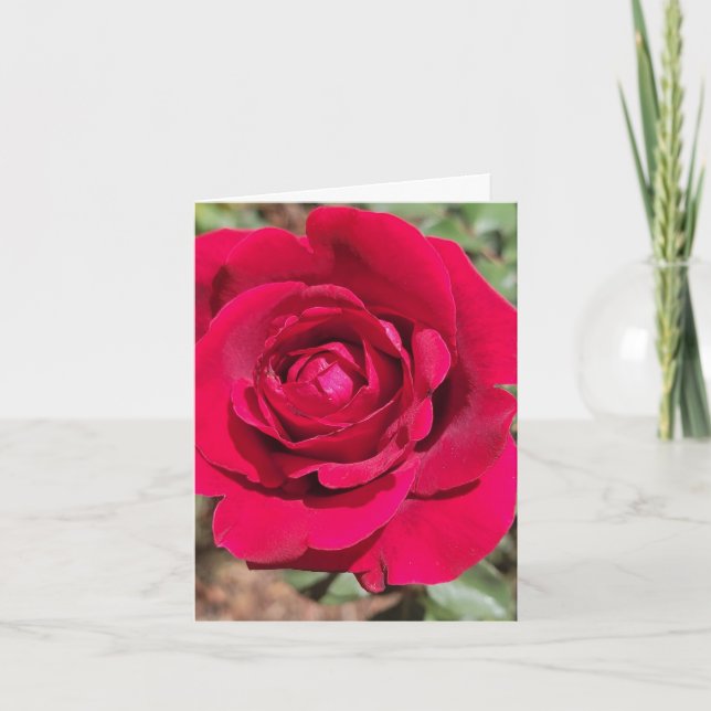 Tarjeta de Felicitación Personalizada Rosa Roja (Anverso)