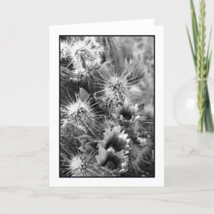 Tarjeta de felicitación Petal opositor