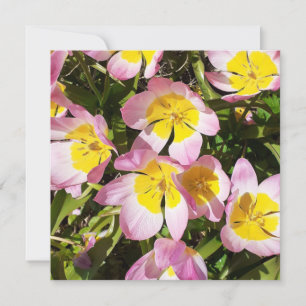 Tarjeta de felicitación plana con flores rosas y a