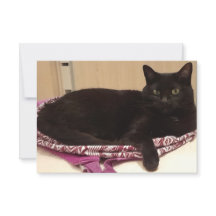 Tarjeta de felicitación plana de 3,5" x 5"