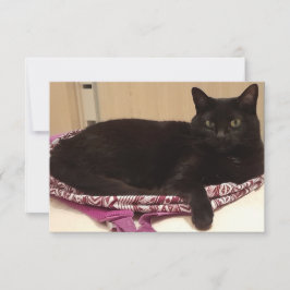 Tarjeta de felicitación plana de 3,5" x 5"