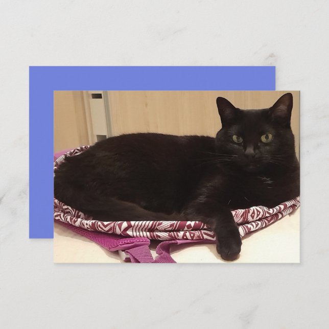 Tarjeta de felicitación plana de 3,5" x 5" (Anverso / Reverso)