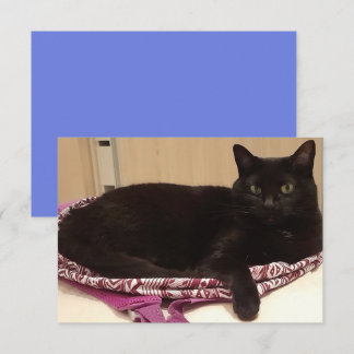 Tarjeta de felicitación plana de 3,5" x 5"