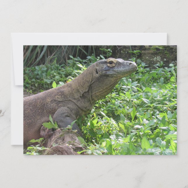 Tarjeta de felicitación plana Komodo Dragon (Anverso)