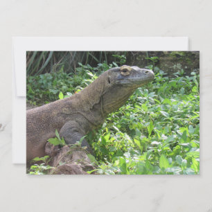 Tarjeta de felicitación plana Komodo Dragon
