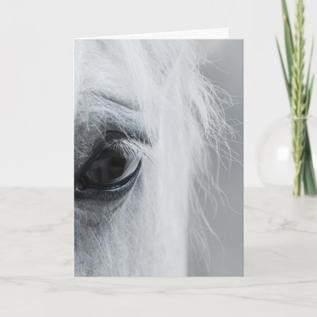 Tarjeta de felicitación Platinum Equine (Anverso)