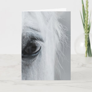 Tarjeta de Felicitación Platinum Equine