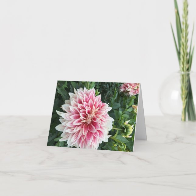 Tarjeta de felicitación plegada (Anverso)