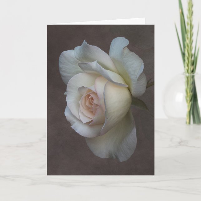 Tarjeta de felicitación plegada (Anverso)